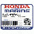 ВКЛАДЫШ, ШАТУННЫЙ "C" (Honda Code 7007248).  (коричневый) (DAIDO)