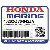            SEPARATOR, EXTENSION *NH210MC* (AQUA СЕРЕБРО METALLIC-C) (Honda Cod