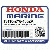  MANIFOLD, EX. *NH8* (Honda Code 7649536).  (DARK СЕРЫЙ)