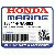ВКЛАДЫШ КОРЕННОЙ "D" (LOWER) (Honda Code 6730337).  (зелёный) (DAIDO)