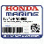  ВКЛАДЫШ КОРЕННОЙ "B" (LOWER) (Honda Code 6730295).  (чёрный) (DAIDO)