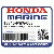 ПОДШИПНИК E, MAIN (LOWER) (Honda Code 7007578).  (жёлтый) (DAIDO)