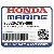 БОЛТ, FLANGE (8X40) (Honda Code 6643902).
