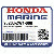 ГАЙКА-ШАЙБА (8MM) (Honda Code 4901013).