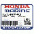        ВКЛАДЫШ, ШАТУННЫЙ "C" (Honda Code 6450704).  (коричневый) (GLACIER DAID