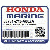 КРЫШКА, R. MOUNTING (LOWER) (Honda Code 8009086).  *NH282MU* (L) (OYSTER СЕРЕБРО METALLIC-U)