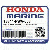 ВКЛАДЫШ, КОРЕННОЙ "D" (НИЖНИЙ) (Honda Code 7007552).  (ЗЕЛЁНЫЙ) (DAIDO) - 13344-PWA-003