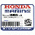          БОЛТ, PAN (4X8) (Honda Code 0373308).