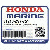MOTOR UNIT, STARTER (Honda Code 4432910).