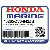 ПЛАСТИНА CAVITATION *NH282MU* (OYSTER СЕРЕБРО METALLIC-U) (Honda Code 3746740).