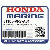 ФЛЯНЕЦ В СБОРЕ, ЩЁТКА(Электрографитовая) (Honda Code 3543238).  (N/A FOR USA: SEE В СБОРЕ)