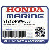 САЛЬНИК (40X55X7) (NOK) (Honda Code 7028558).