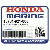 BODY, FILTER (NOT AVAILABLE) (Honda Code 0283101).