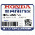 КРЫШКА В СБОРЕ, CRANKКОРПУС (000) (Honda Code 6671036).