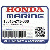 BODY (Honda Code 6989768).