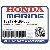 ПОДШИПНИК G, ШАТУН (Honda Code 2317022).  (красный) (DAIDO)