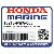 ПОДШИПНИК F, ШАТУН (Honda Code 7007305).  (ШТИФТK) (DAIDO)