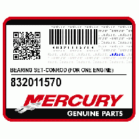 BEARING SET-Conrod (For One Engine), 832011570