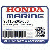 БОЛТ, HEX. (8X25) (Honda Code 3705803).