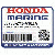 КРЫШКА, L. MOUNTING (LOWER) (Honda Code 8009110).  *NH282MU* (XL) (OYSTER СЕРЕБРО METALLIC-U)