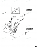 Transmission And Related Parts(Borg Warner 72)