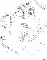 THERMOSTAT HOUSING & HOSES