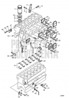 Crankcase, Components: C D30A-MS AUX