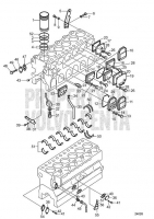 Crankcase, Components: B D30A-MT, D30A-MS
